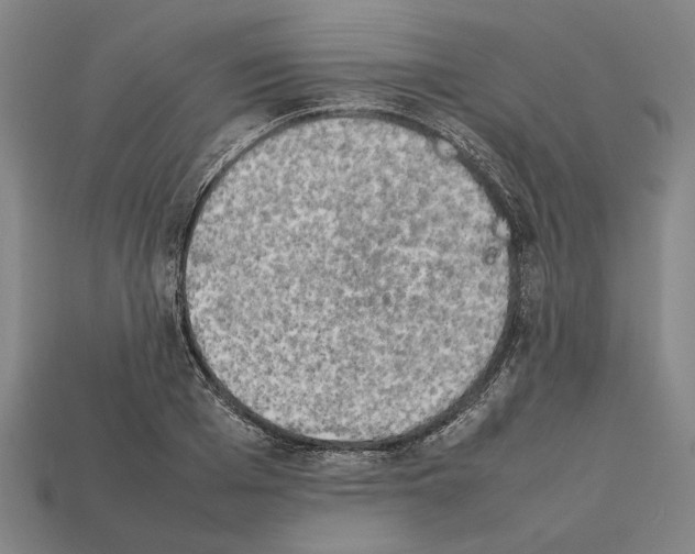 X0000112400985200909251432