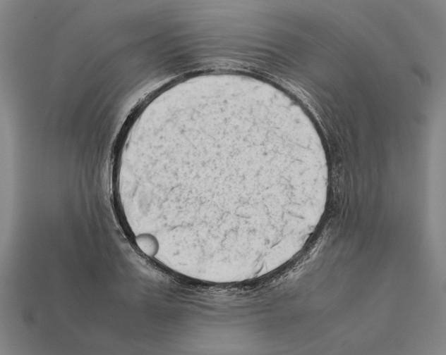 X0000112400987200909251432