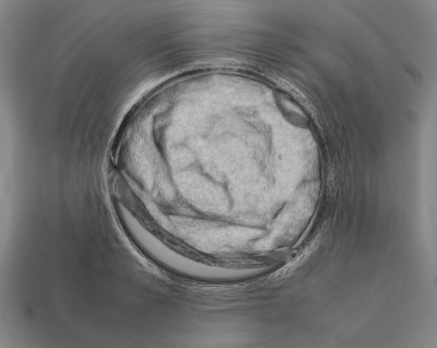 X0000112400989200909251432