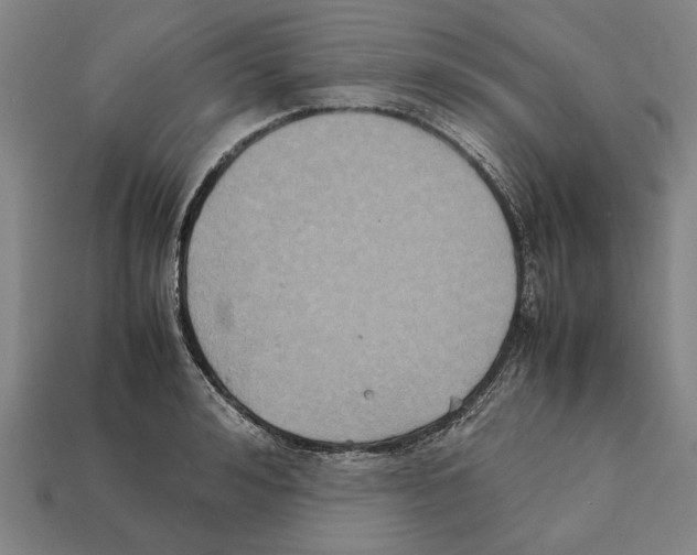 X0000112400992200909251432