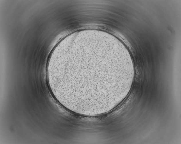 X0000112400994200909251432