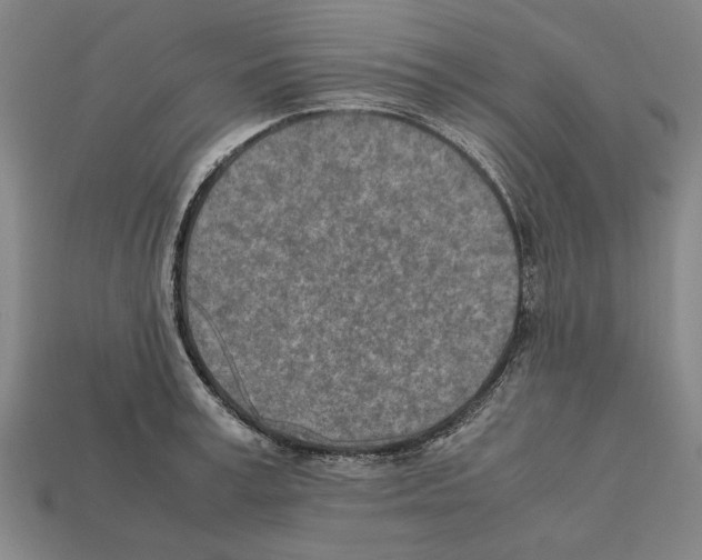 X0000112400995200909251432