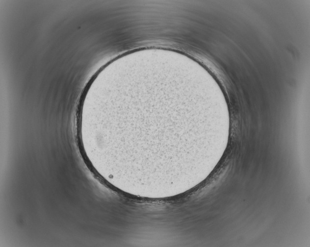 X0000112400999200909251432