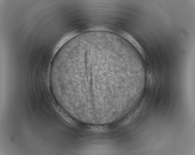 X0000112401002200909251432