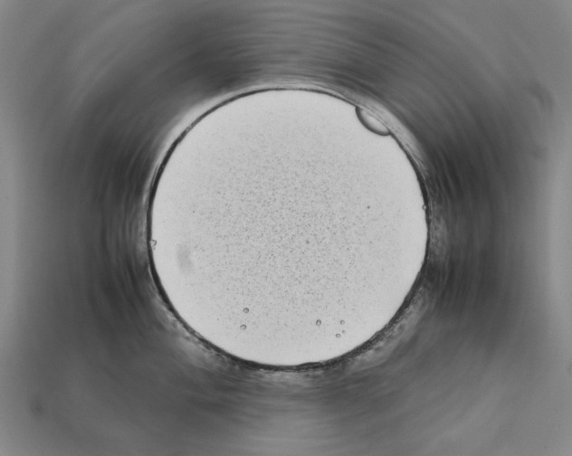X0000112401004200909251432