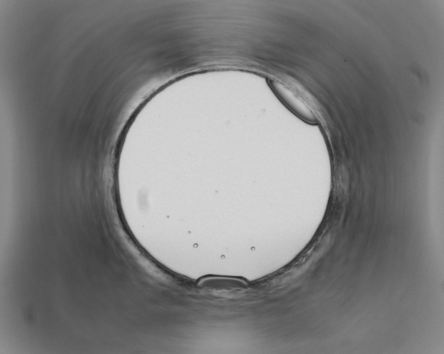 X0000112401005200909251432