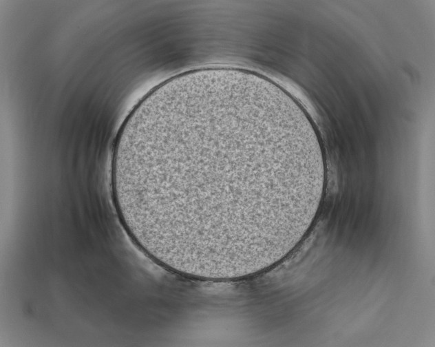 X0000112401006200909251432