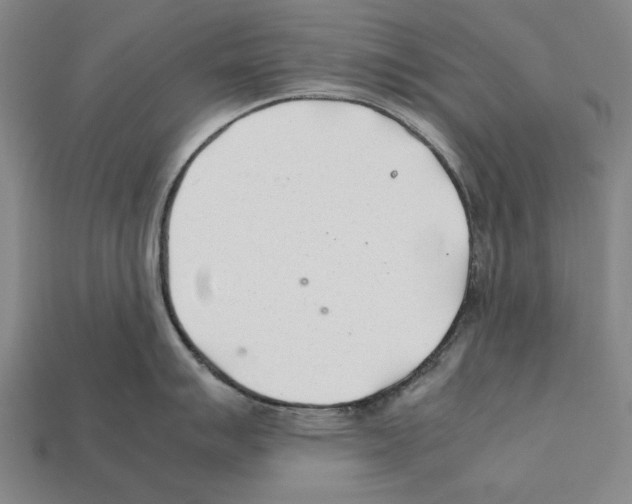 X0000112401007200909251432