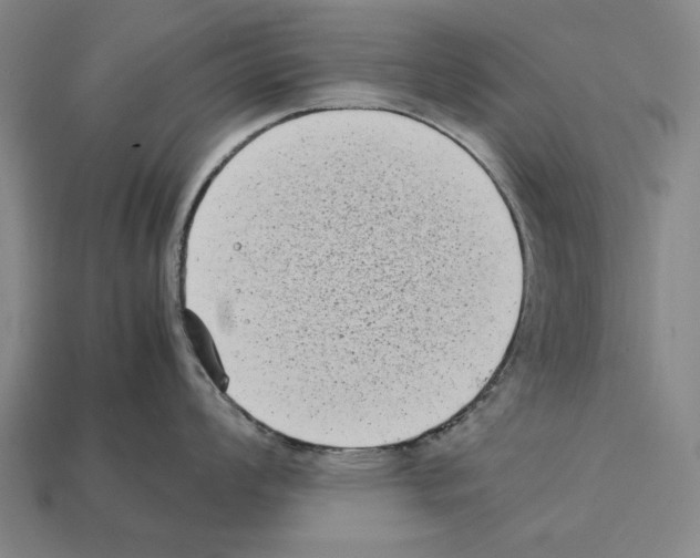 X0000112401008200909251432