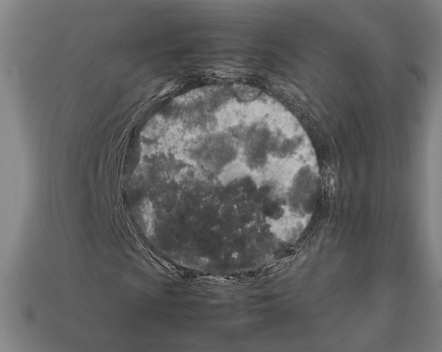 X0000112401009200909251431