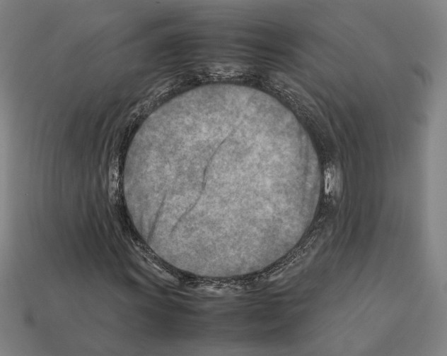 X0000112401011200909251431