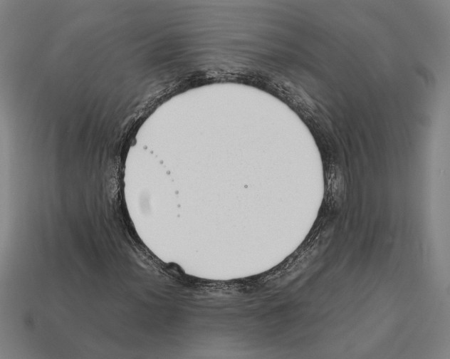 X0000112401012200909251431