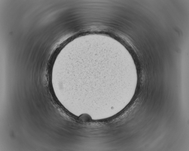 X0000112401018200909251431