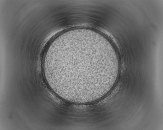 X0000112401019200909251431