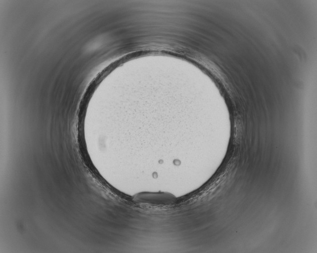 X0000112401020200909251431