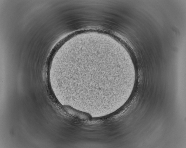 X0000112401021200909251431