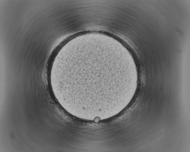 X0000112401022200909251431