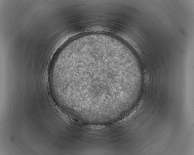 X0000112401023200909251431