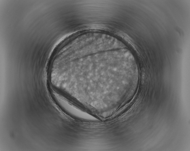 X0000112401024200909251431