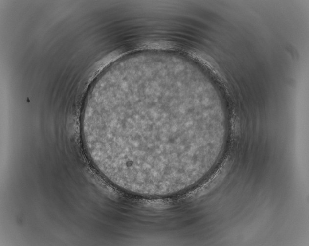 X0000112401025200909251431
