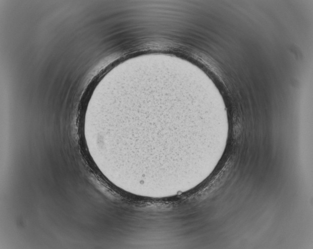 X0000112401026200909251431