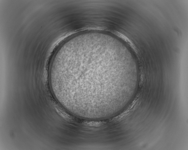 X0000112401027200909251431