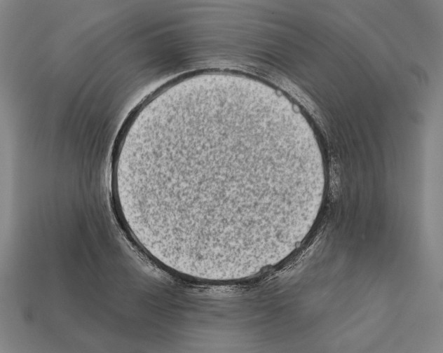X0000112401028200909251431