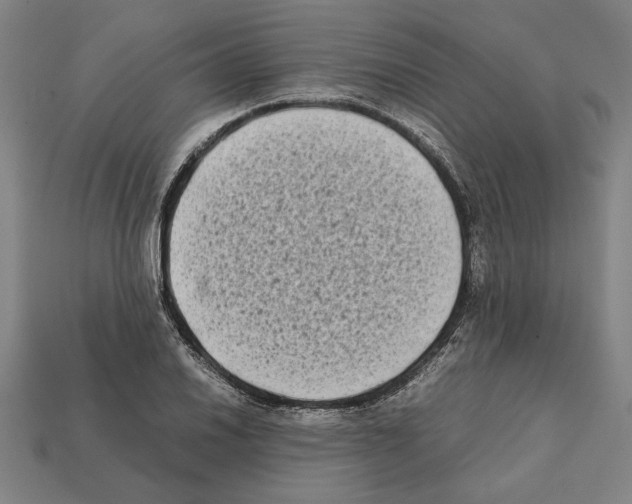 X0000112401030200909251432