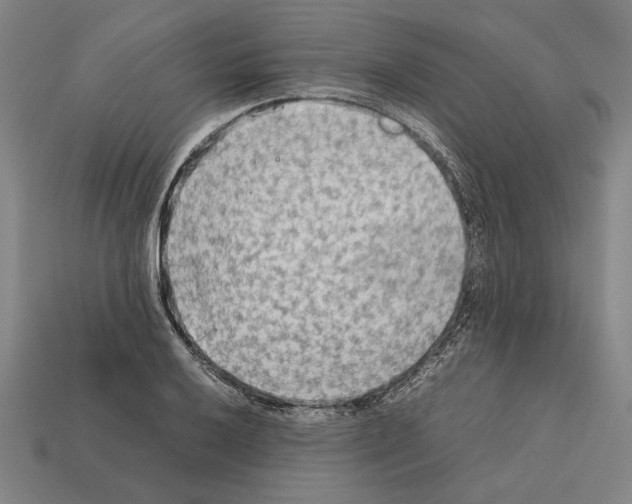 X0000112401032200909251432