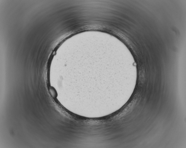 X0000112401034200909251432