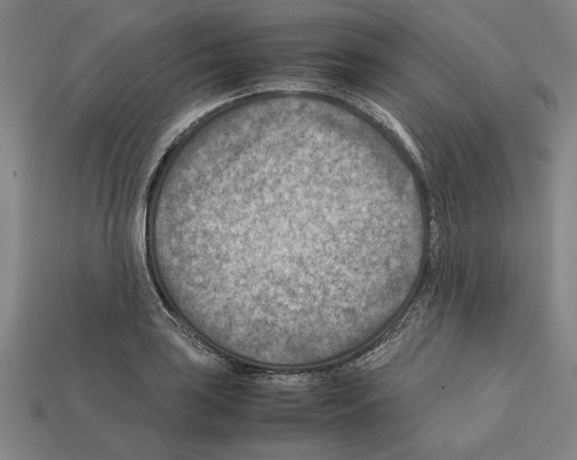 X0000112401035200909251432