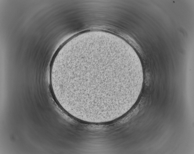 X0000112401036200909251432