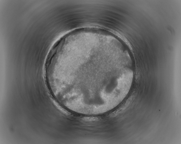 X0000112401037200909251432