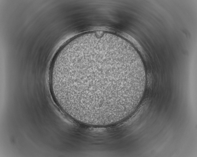 X0000112401043200909251432