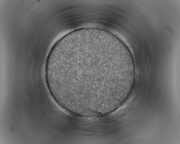 X0000112401045200909251432