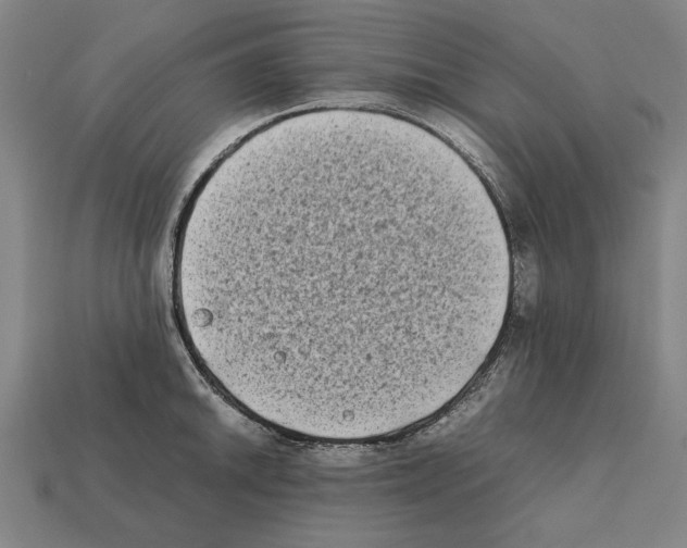 X0000112401046200909251432