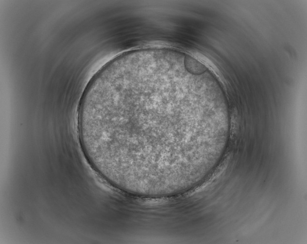 X0000112401047200909251432