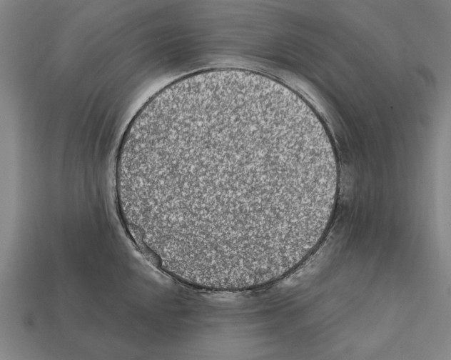 X0000112401048200909251432