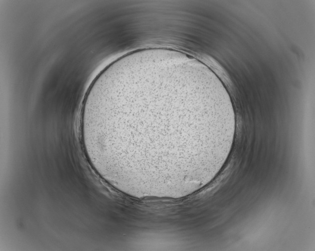 X0000112401052200909251432