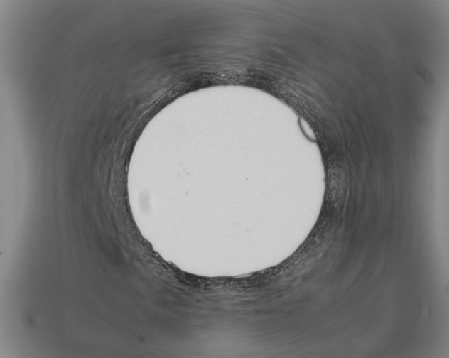 X0000112401057200909251431