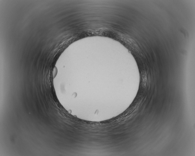 X0000112401060200909251431