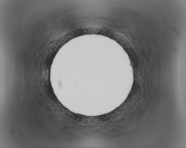 X0000112401061200909251431