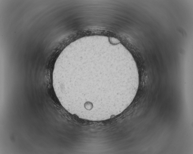 X0000112401062200909251431