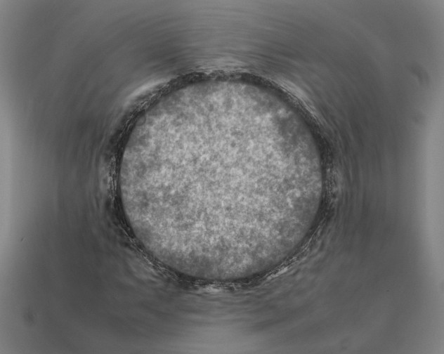 X0000112401063200909251431