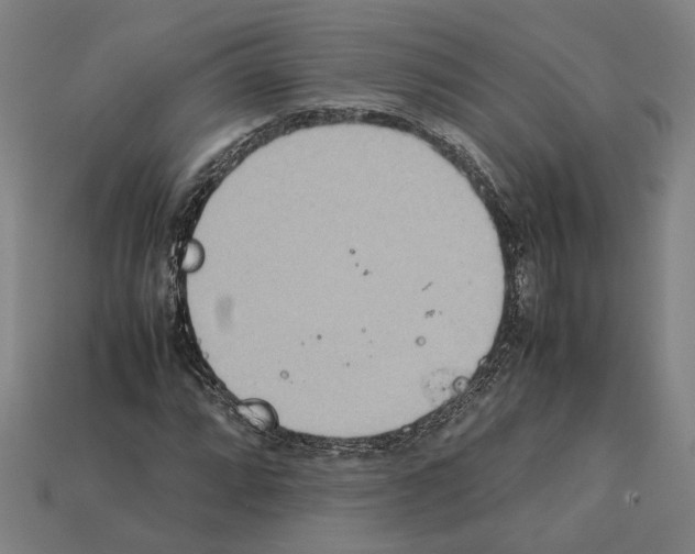 X0000112401064200909251431