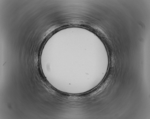 X0000112401065200909251431