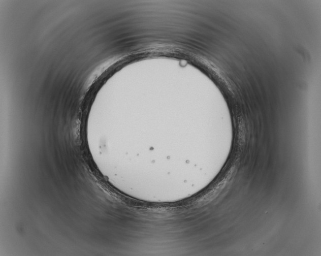 X0000112401066200909251431