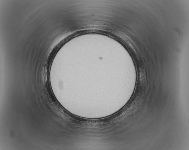 X0000112401069200909251431