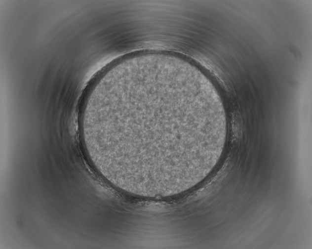 X0000112401070200909251431