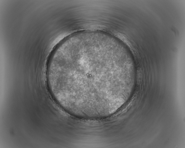 X0000112401071200909251431